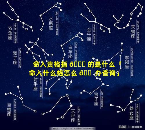 命入贵格指 🐞 的是什么「命入什么格怎么 🐠 办查询」